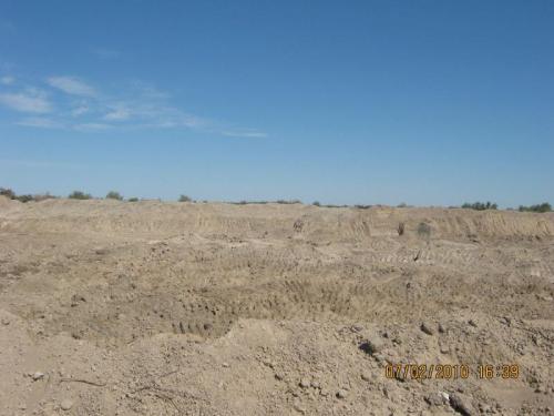 Kyzylorda, July-August 2010