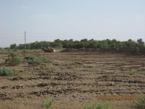 Kyzylorda, July-August 2010